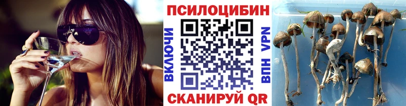 Купить закладки  Сердобск  Псилоцибиновые грибы мухоморы 