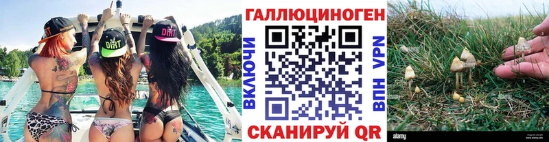 Галлюциногенные грибы Psilocybe Сердобск